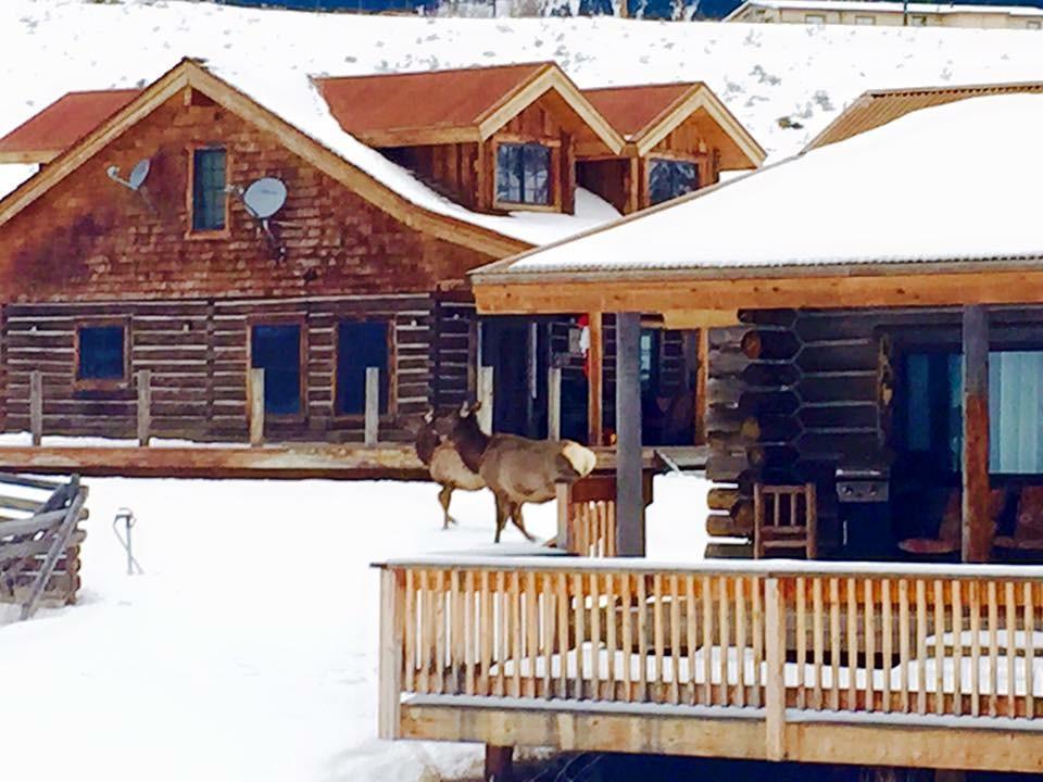 Creek Cabin جاردينر المظهر الخارجي الصورة
