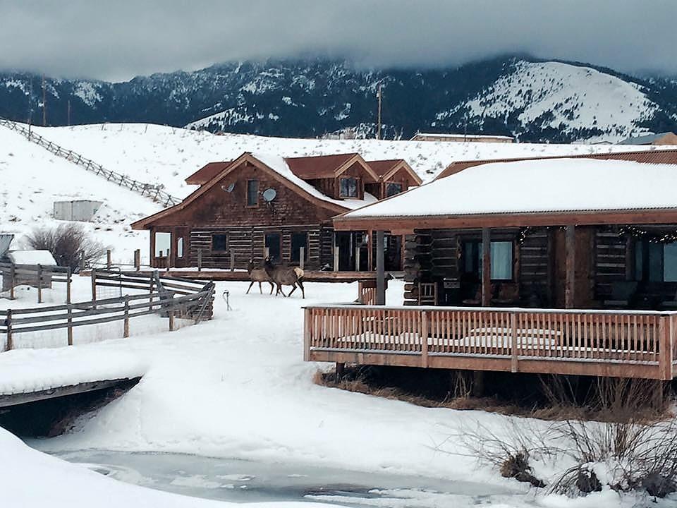 Creek Cabin جاردينر المظهر الخارجي الصورة